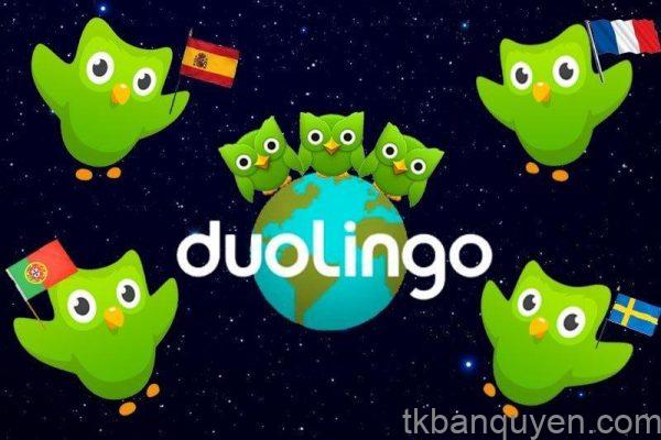 Mua tài khoản Duolingo giá rẻ, học ngoại ngữ tiết kiệm, hiệu quả 3 tài khoản Duolingo giá rẻ