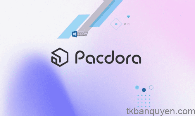 Địa chỉ mua Pacdora Pro