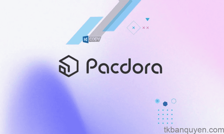 Địa chỉ mua Pacdora Pro