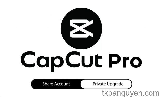 capcut pro capcut pro