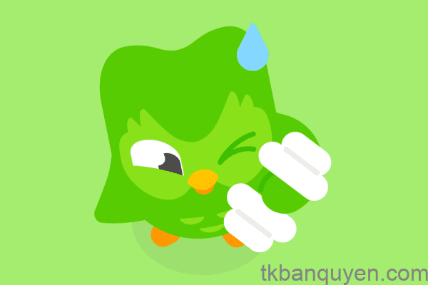 Gói Duolingo