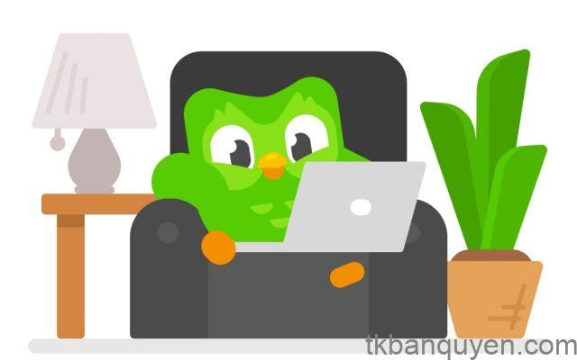 Super Duolingo giá bao nhiêu 7 Giá Duolingo Super 2025