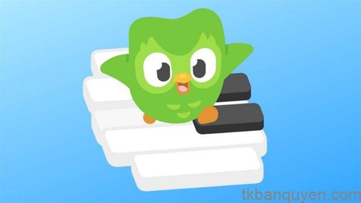 Duolingo Super giá rẻ
