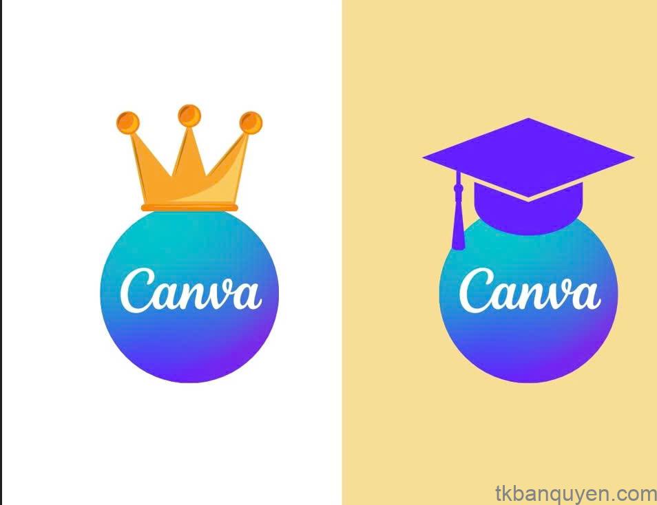 so sánh Canva Pro và Canva Edu