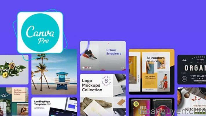 gia Tài khoản Canva Pro