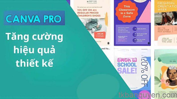 Tài khoản Canva Pro bao nhiêu tiền