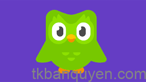 Duolingo Free