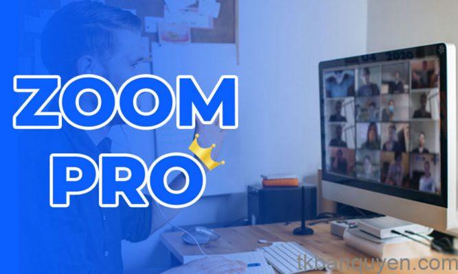 Zoom Pro giá bao nhiêu